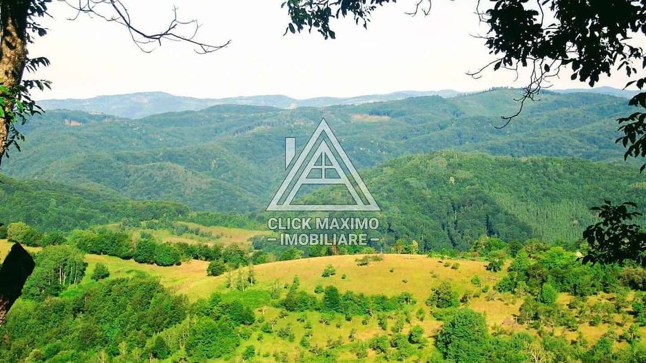 CASĂ și TEREN 85.000 mp – Casa părintească Părintele Arsenie Boca - Poză 15