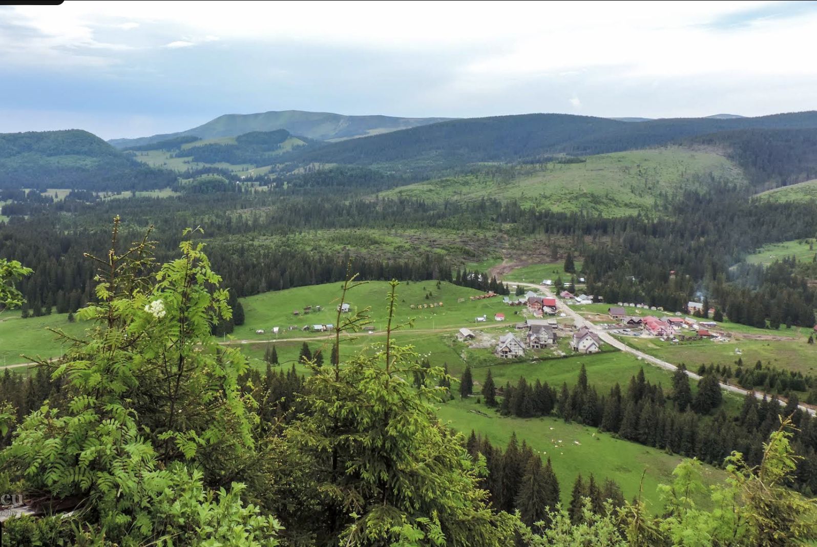 Pensiune Padis 10 camere - Poză 5