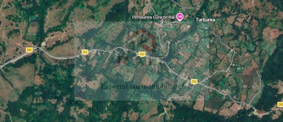 Teren extravilan de vânzare 11.740 mp Corbeni Turburea Argeș - Poză 1