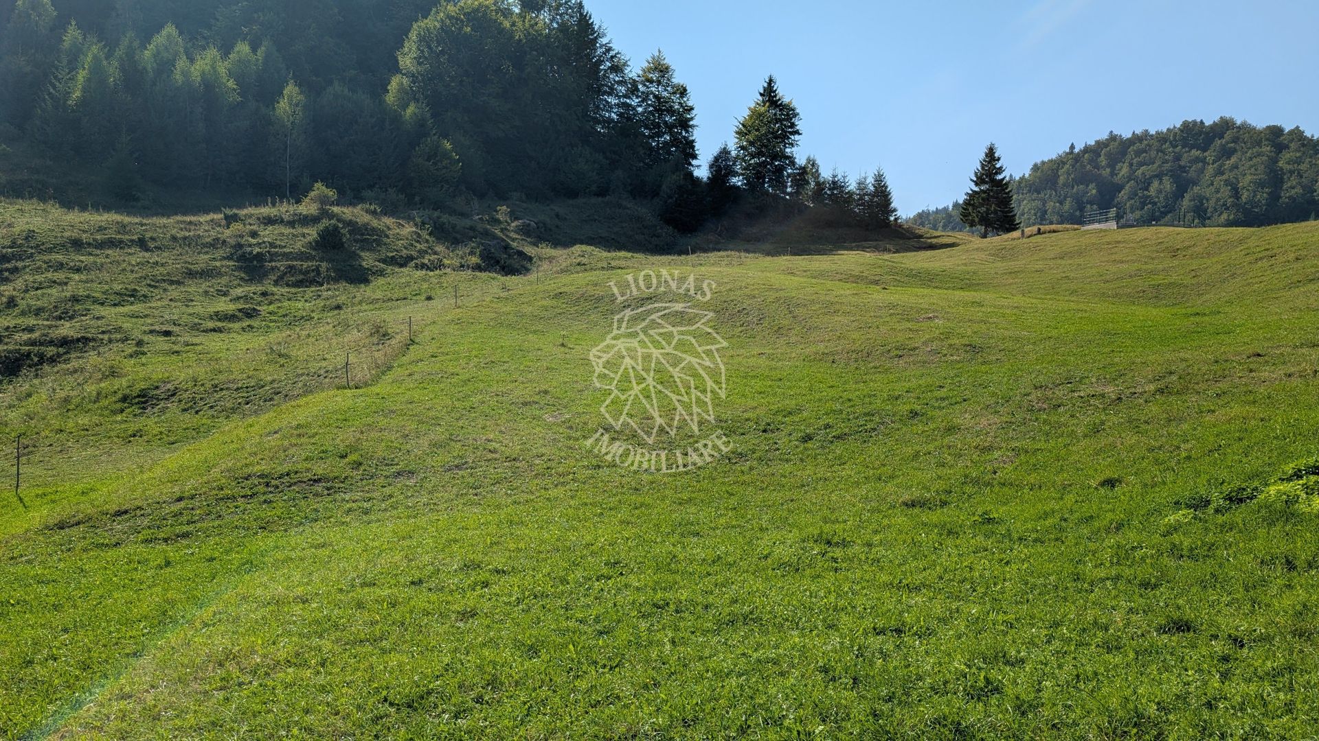 Oportunitate!Teren intravilan 61.38400mp-Parcelabil-utilitati-Colibita - Poză 2