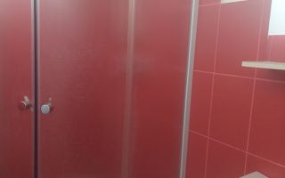 CASĂ PĂLTINIȘ\JUD. CARAȘ-SEVERIN\ COMISION 0% - Poză 13