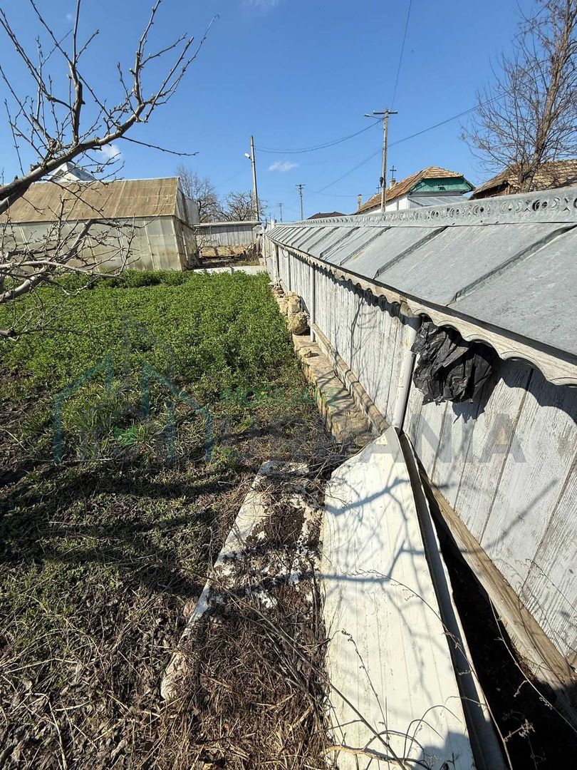 Teren de vânzare cu seră și vie în com. Belcești, jud. Iași - Poză 3