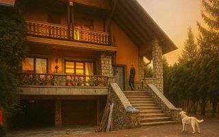 Pet Friendly, Vedere Padure, 5000mp teren, D+P+1E+M, semineu, foisor - Poză 40