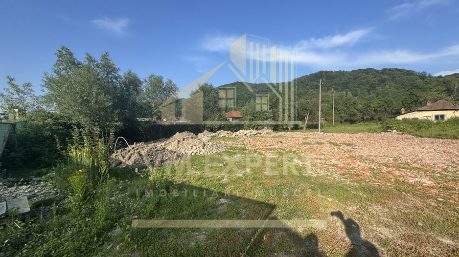 TEREN INTRAVILAN 3296 MP CAMPULUNG ARGEȘ - Poză 6