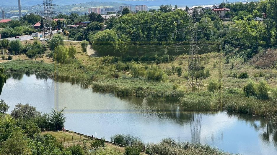 Apartament 2 dormitoare living Nicolina T Neculai - Poză 23
