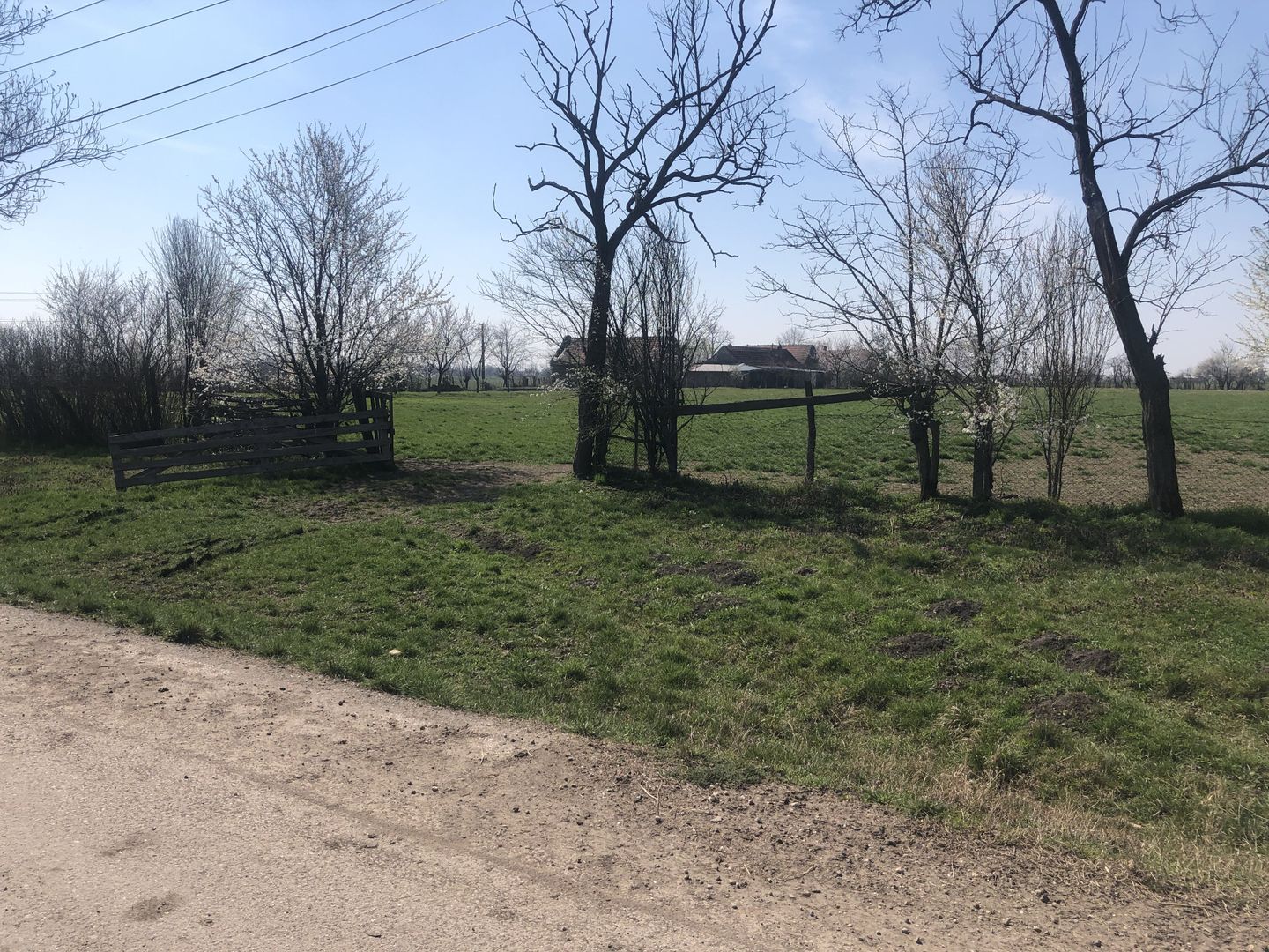 Teren Cheveresul Mare-2863 mp - Poză 4