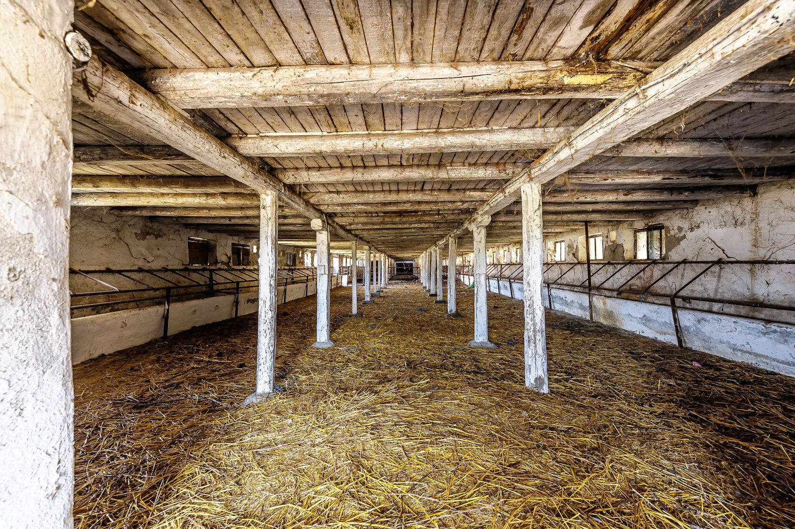 Fermă Mândruloc 2,5 ha - Poză 5