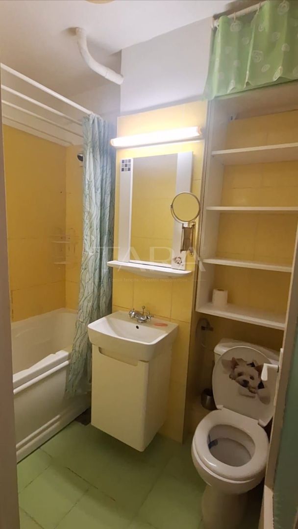 Apartament  cu 1 cameră, disponibil imediat – Gruia - Poză 7