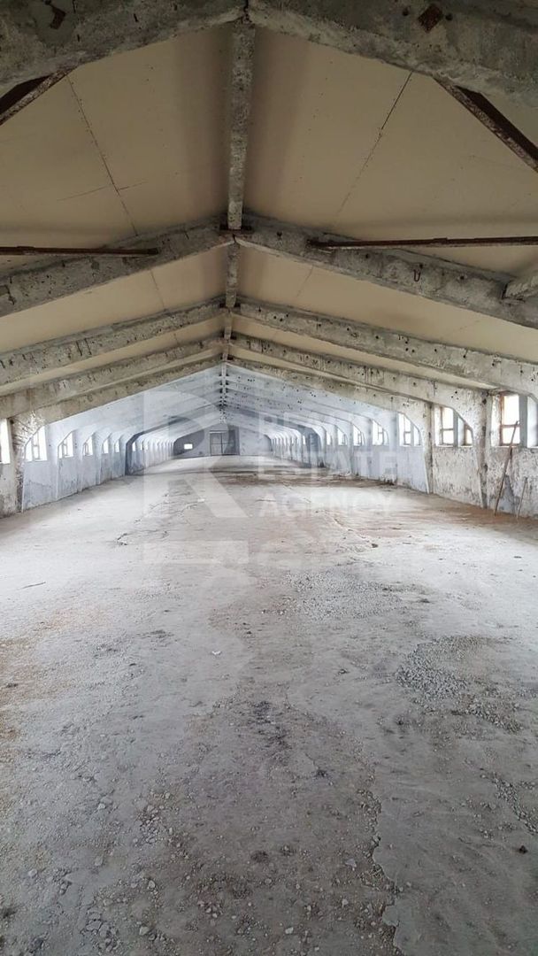 Vânzare fermă, 10,48 ha, comuna Petreni, Drochia - Poză 5