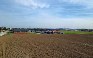 InvestZone vinde 10 ha la Santandrei - Poză 5