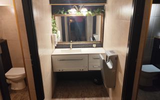 Spatiu comercial (club) de inchiriat in zona Armeneasca/Rosetti/Mosilor - Poză 9