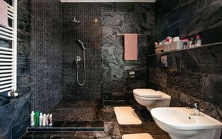 Vilă modernă  cu curte generoasă în Iancu Nicolae - Poză 29