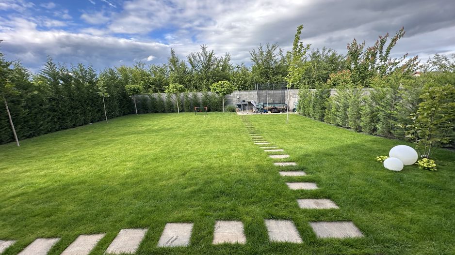 PROIECT  DEOSEBIT  IN  DUMBRAVITA - Poză 43