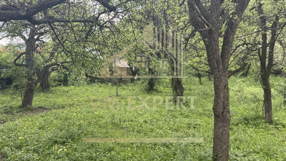 TEREN INTRAVILAN 7018 MP CAMPULUNG - Poză 31