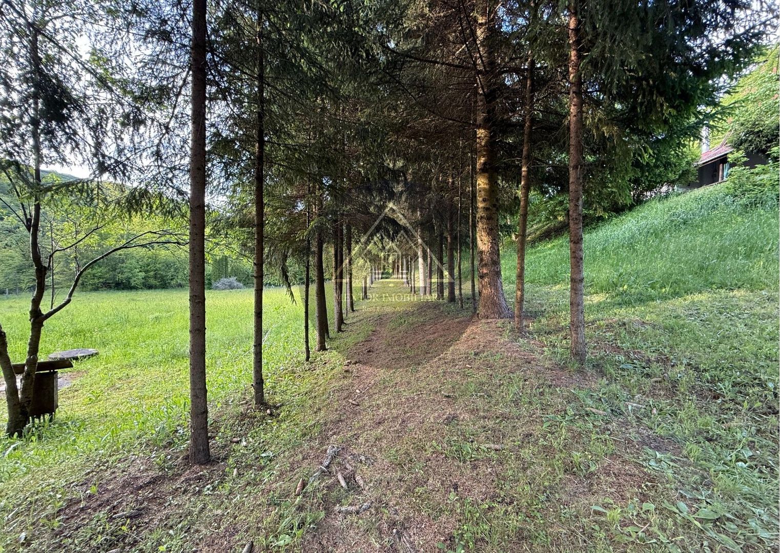 Afacere la cheie, Han, Pensiune, Restaurant - Poză 32