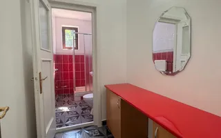 Vilă 816 mp | 20 ari teren | Valea Roșie | Ideală pentru investitie - Poză 25
