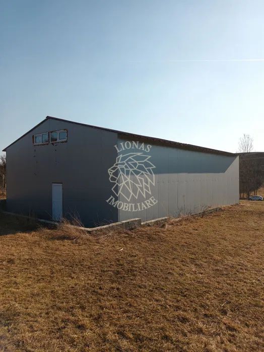 Teren 7500 mp + Hala metalica-ideal investitie-Brateni  EXCLUSIV - Poză 6