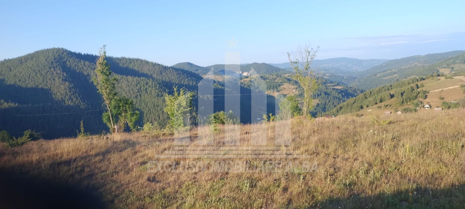 Teren pretabil constructie cabane in Garda de Sus - Poză 2