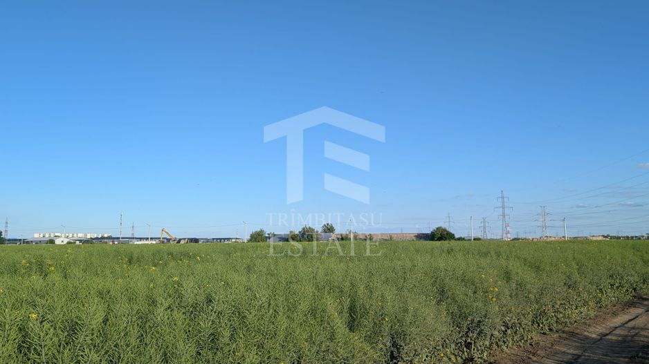 Teren de vanzare Domnești - Str. Narciselor - 20312mp - Poză 6