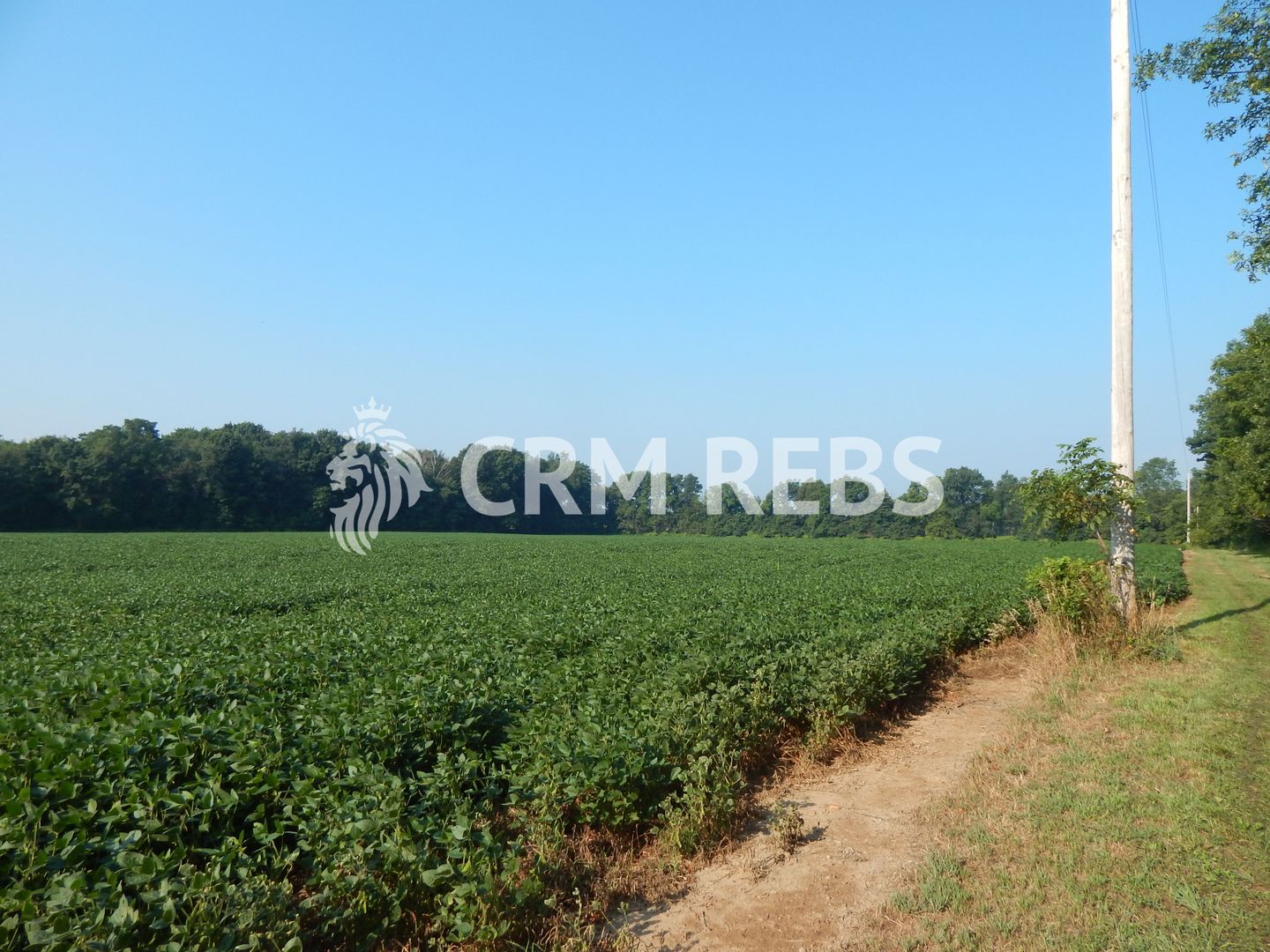 Teren cu PUZ de vanzare in Grigorescu - Poză 2