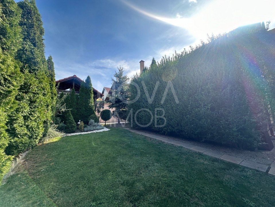 Casa individuala de vanzare - Sura Mare - Poză 5