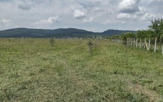 Teren 23700 mp (2,37 ha)-ideal investitie,cabana-Sesul Jelnei - Poză 1