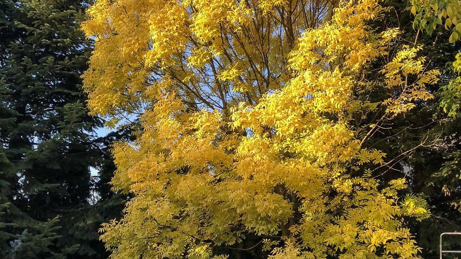 PROPRIETATE CU ENERGIE PURA |  Sanctuarul Eleganței și Rafinamentului - Poză 25