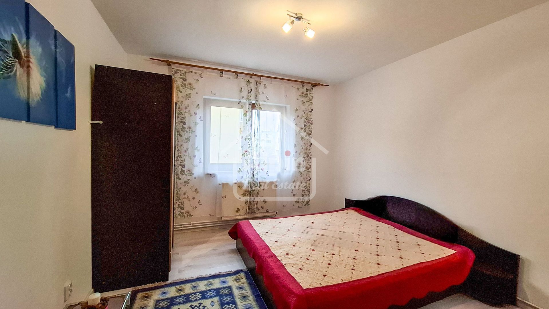 Suprafata Generoasa I Zona Gemenii - Poză 2