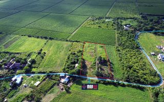 Teren Urlați / Investitie / 5.555 mp pe Traseul MARVIN si Drumul Vinului - Poză 3