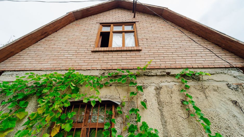 Lot pomicol de 6 ari în Ialoveni, cu construcție auxiliară. - Poză 6