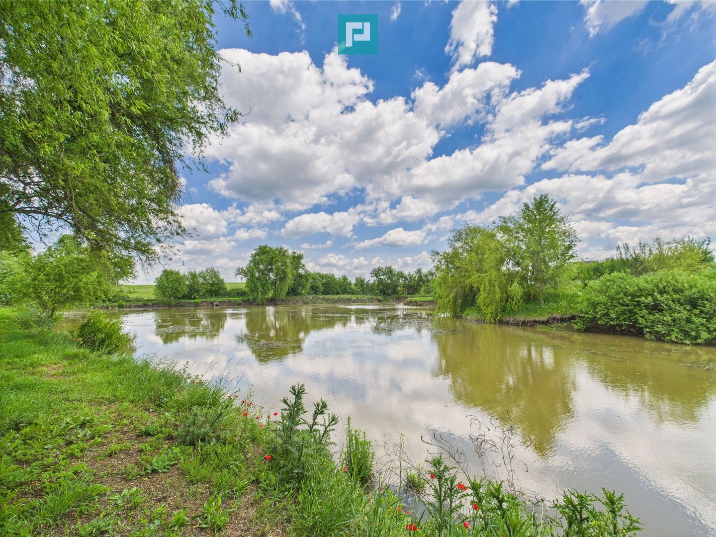 Teren cu baltă- oportunități multiple la Fibiș - Poză 19