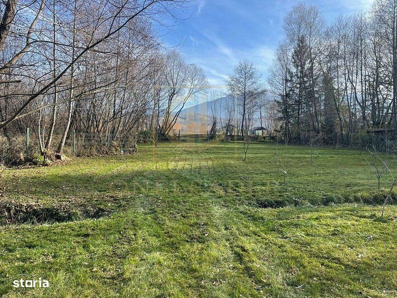 Teren 3349 mp de Vânzare | Bran – Panoramă Munții Bucegi - Poză 10