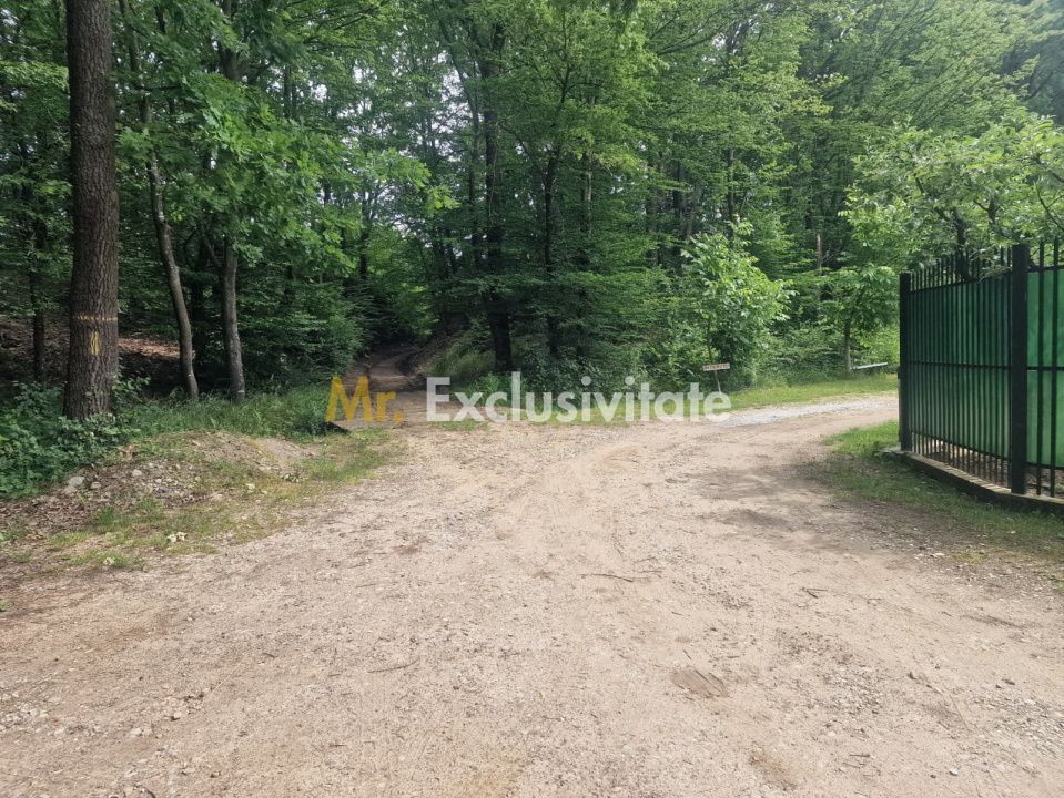 Teren extravilan Pitesti - str. Balotesi!! - Poză 3