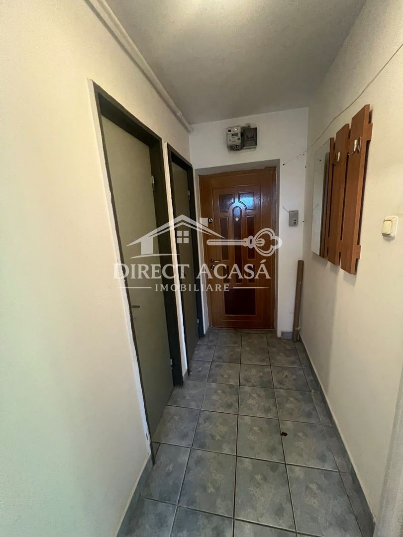 Apartament cu 3 camere  (PET FRENDLY)-Str Petru Dobra-Zona Dambu - Poză 13