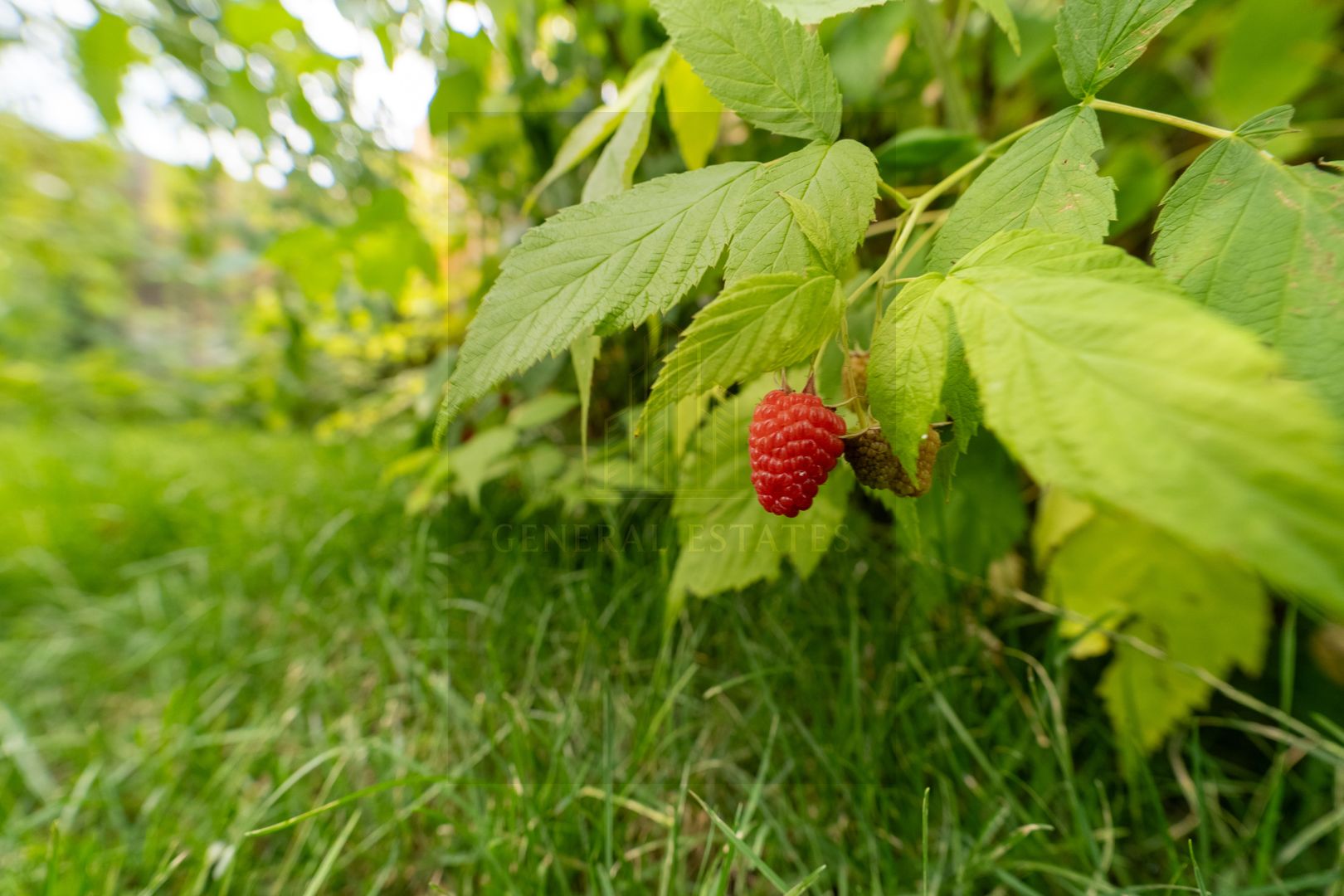 Casa tip Duplex in Critian, Brasov - Poză 18