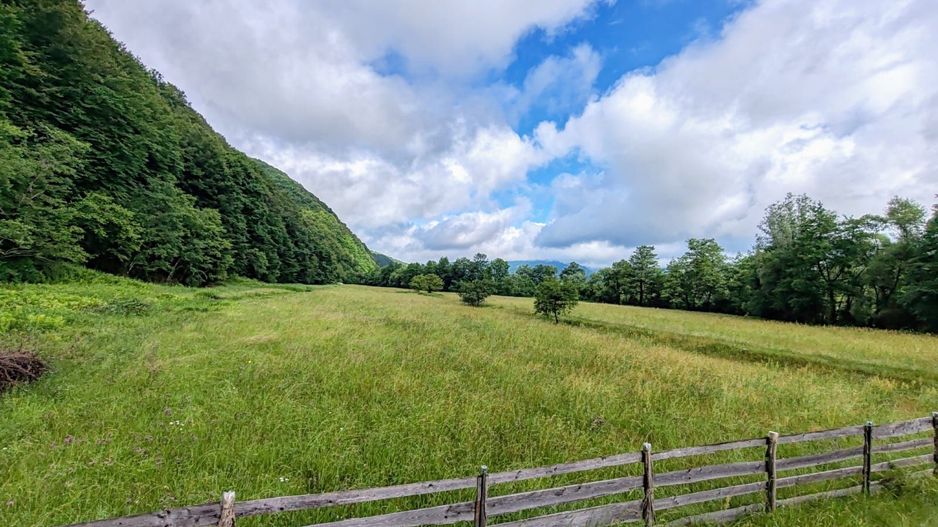 2,8 Ha Teren Extravilan cu Pârâu - Negreni, Cluj - Poză 11