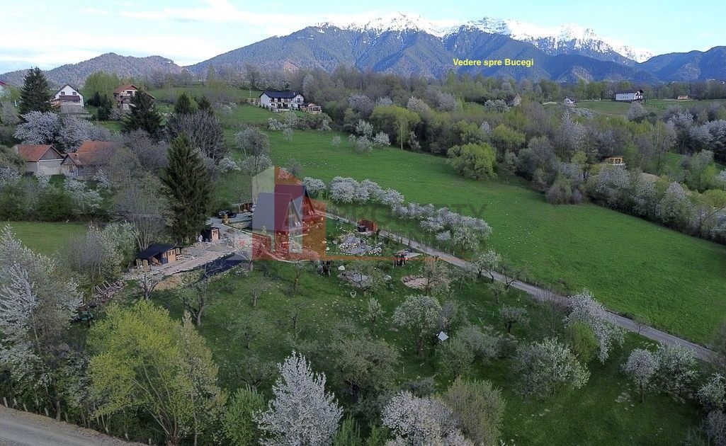 2  A-Frame | Bran Sohodol| 2 cabane | Teren 3.812 mp | Operațional | - Poză 15
