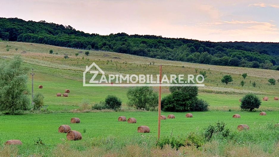 Teren intravilan 50 ari,Livezeni,iesire catre Ivanesti,28 eu/mp - Poză 1