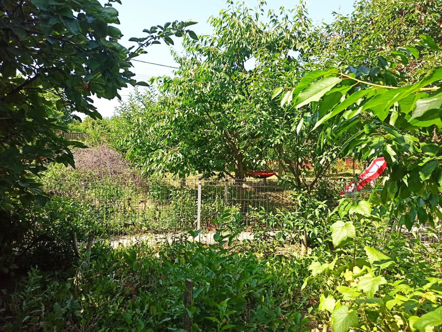 vila indiv+1198mp teren/pe DN4(sosBucuresti) in Frumusani/jud.Calarasi - Poză 66