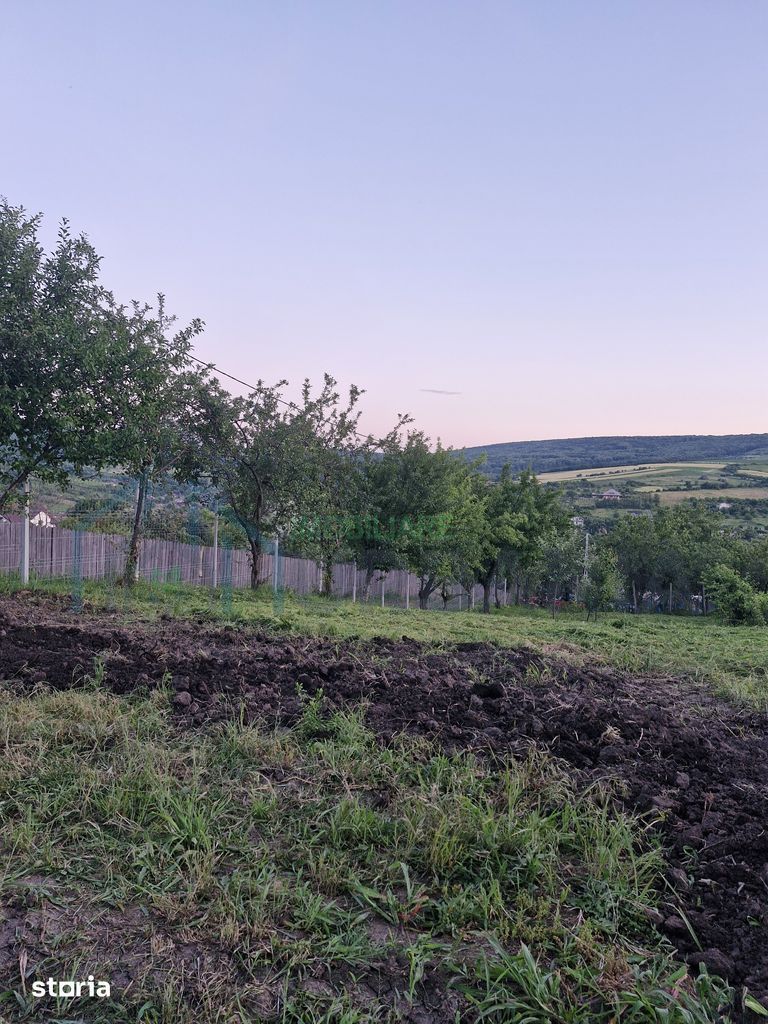 Teren intravilan de vanzare, Chicerea, 740 mp, strada Canarului, Tomesti - Poză 10