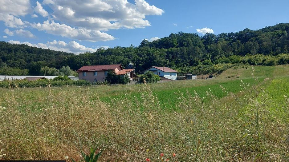 2 parcele teren intravilan, 1200 mp - Mihaita - Cotofenii din Dos - Poză 2