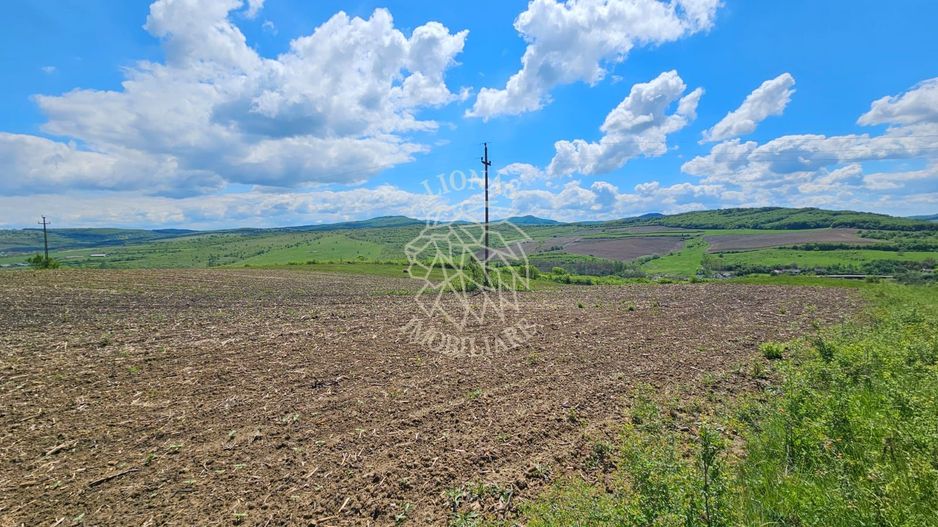 Teren 5800 mp la drum principal - Blajenii de Jos - Poză 1