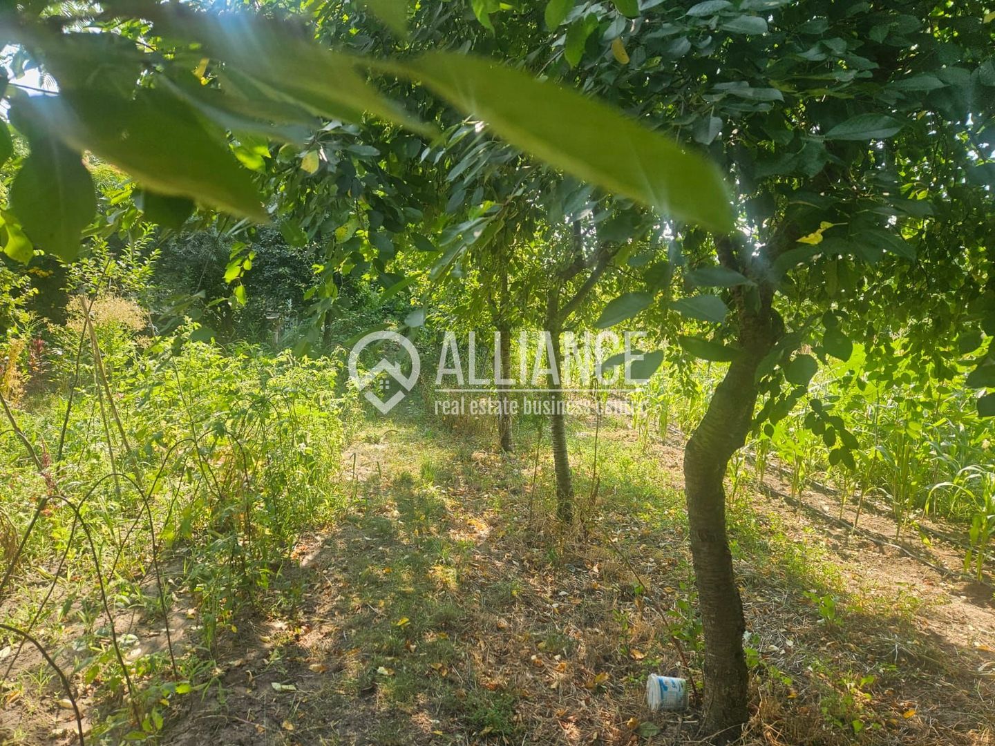 ISTRIA (COD04)-Teren intravilan 1528 mp-Constanta - Poză 4