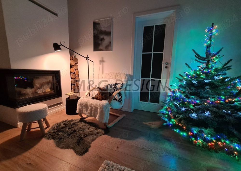 Apart deosebit pe malul Begai - Poză 9