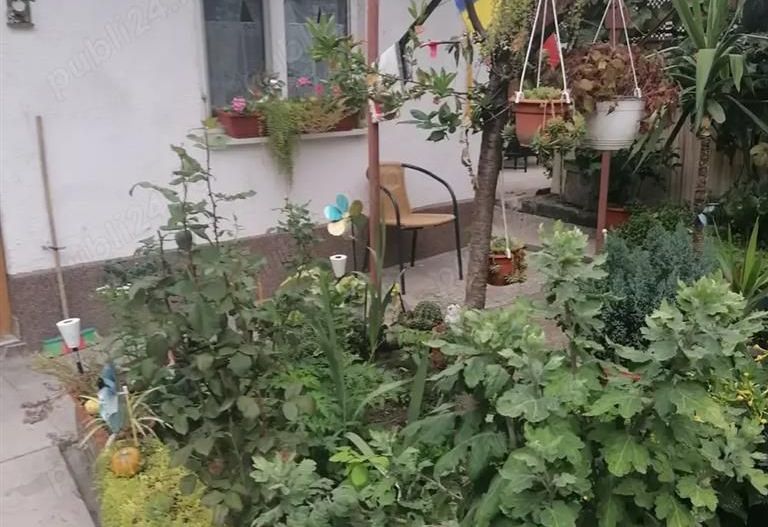 Apartament 3 camere Iosefin la curte - Poză 8