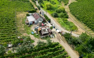 Vie Tradițională „Halta Lupilor” - Poză 48