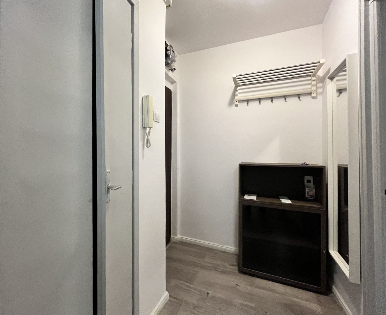 Apartament cu 2 camere, chiriaș inclus, în zona Centrala - Popa Șapcă - Poză 18