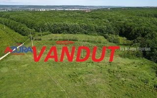 Vanzare teren Balotesti, la padure - Poză 1