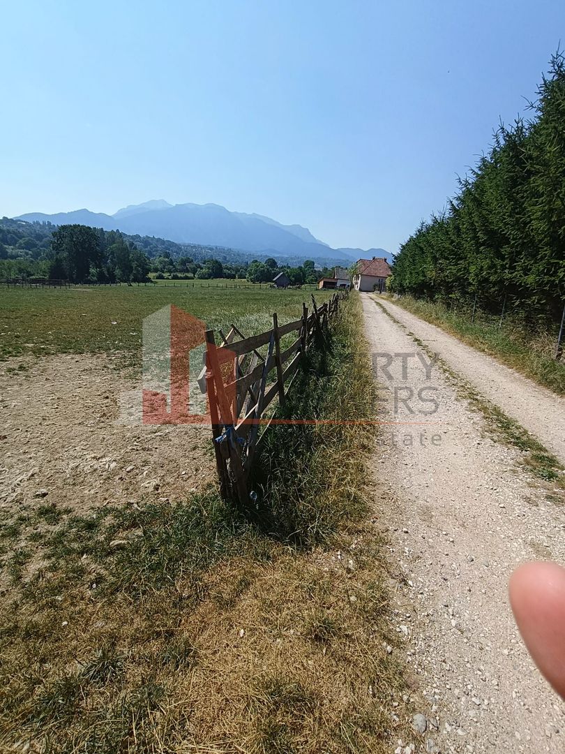Teren intravilan 1.495 mp | Bran- Tohanu Nou | Vedere Bucegi | Deschidere 45 m - Poză 5