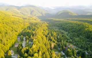 Cabană tip A frame | 3 camere |  Zona Turistică Porumbacu de Sus - Poză 7